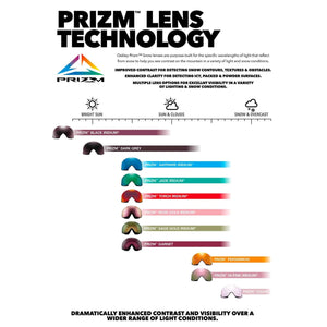 Oakley O-Frame 2.0 Pro L (Large Fit) Goggle - Black Persimmon Goggles Oakley 