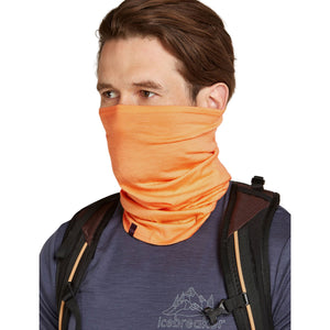 Adult Icebreaker Merino Flexi Chute Neck Warmer - Feld Spar