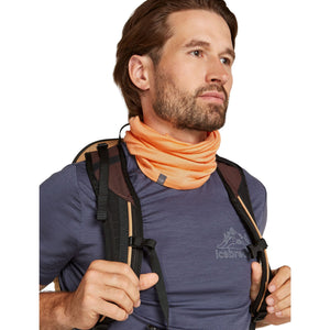 Adult Icebreaker Merino Flexi Chute Neck Warmer - Feld Spar