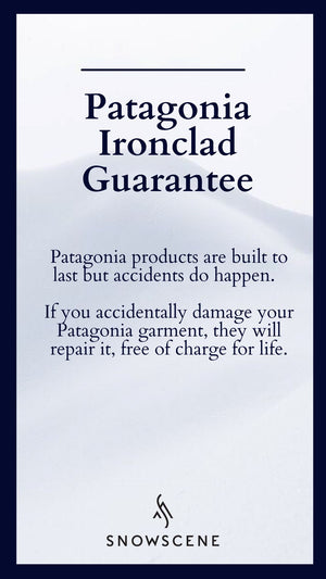 Patagonia bunting outlet down