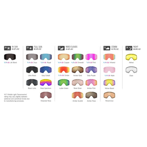 Mens Giro Axis (Medium Fit) Goggles - Black Wordmark Vivid Royal Goggles Giro 